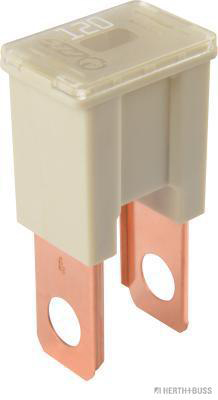 Zekering Herth+Buss Elparts 50295450