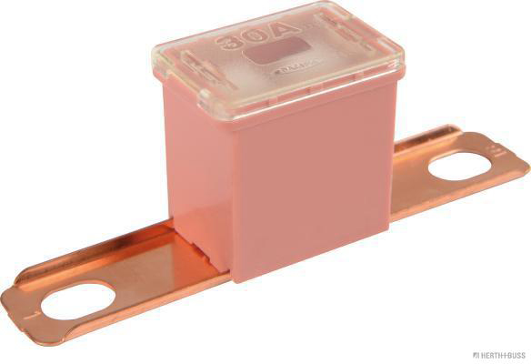 Zekering Herth+Buss Elparts 50295453