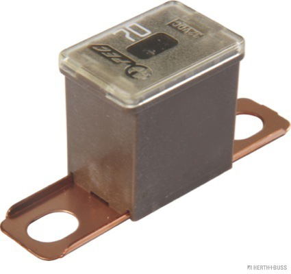 Zekering Herth+Buss Elparts 50295466