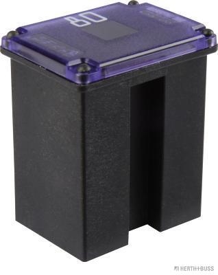 Zekering Herth+Buss Elparts 50295488