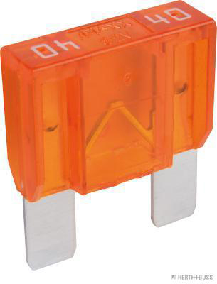 Zekering Herth+Buss Elparts 50295544