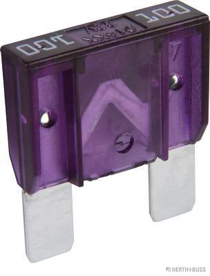 Zekering Herth+Buss Elparts 50295550