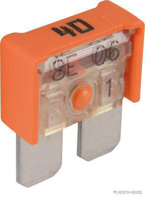 Zekering Herth+Buss Elparts 50295564066