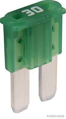 Zekering Herth+Buss Elparts 50295651