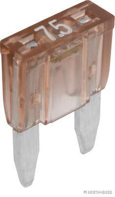 Zekering Herth+Buss Elparts 50295676066