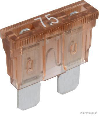 Zekering Herth+Buss Elparts 50295807066