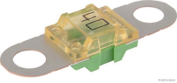 Zekering Herth+Buss Elparts 50295832