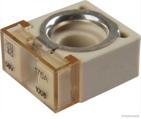 Zekering Herth+Buss Elparts 50295885