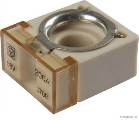 Zekering Herth+Buss Elparts 50295886