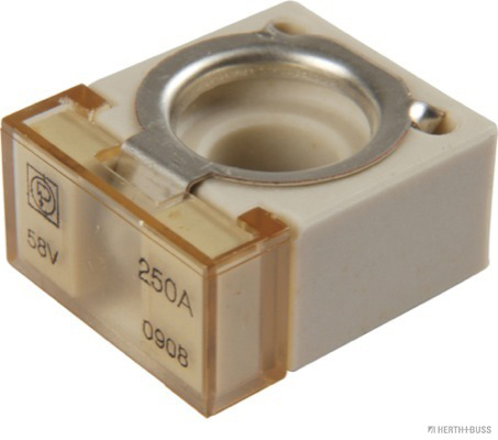 Zekering Herth+Buss Elparts 50295887