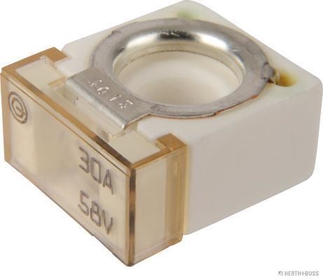 Zekering Herth+Buss Elparts 50295889