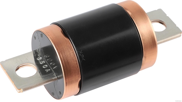 Zekering Herth+Buss Elparts 50296008