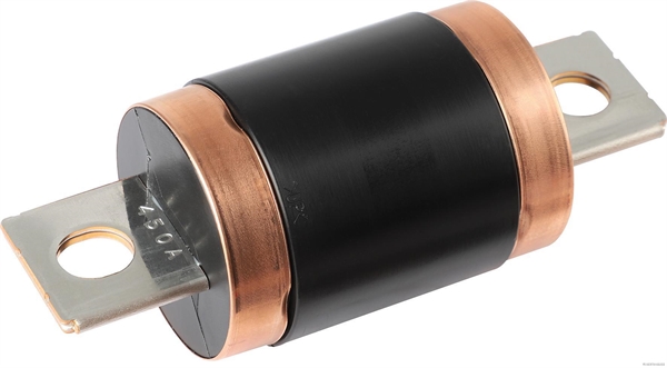 Zekering Herth+Buss Elparts 50296010