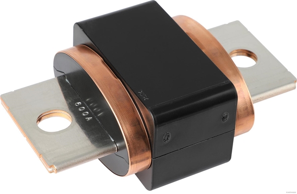 Zekering Herth+Buss Elparts 50296015