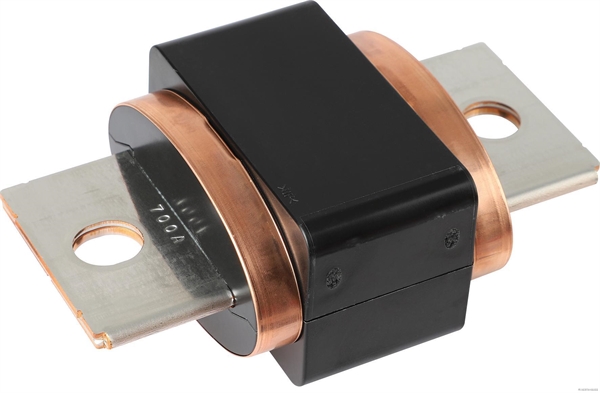 Zekering Herth+Buss Elparts 50296016