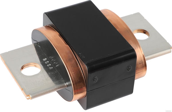 Zekering Herth+Buss Elparts 50296018