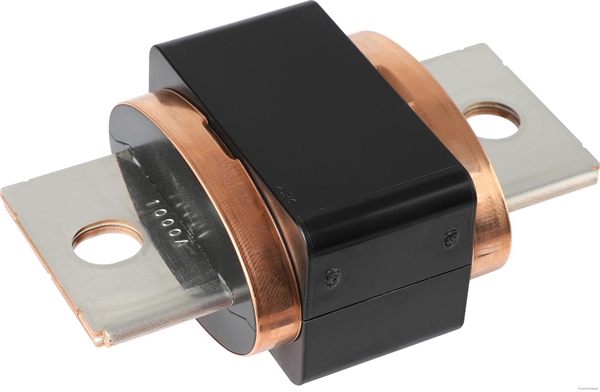 Zekering Herth+Buss Elparts 50296019