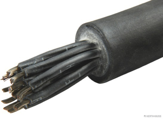 Elektrische leiding Herth+Buss Elparts 51275598000