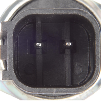 Herth+Buss Elparts Achteruitrijlichtschakelaar 70560304