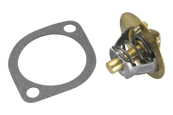Wahler Thermostaat 3119.82D4