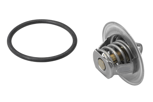 Wahler Thermostaat 3141.87D