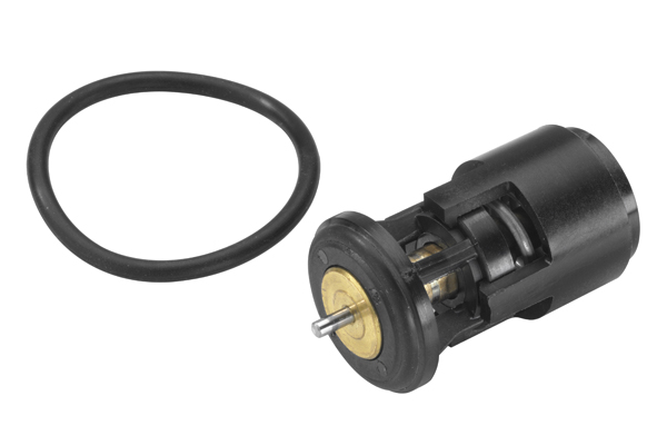 Wahler Thermostaat 3143.87D