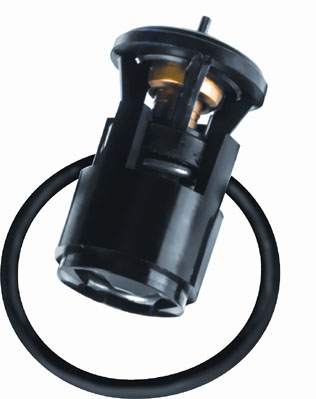 Wahler Thermostaat 3143.87D