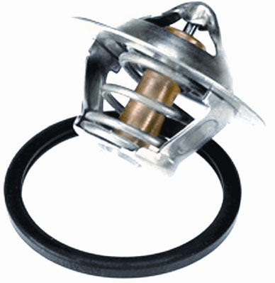 Wahler Thermostaat 3466.89D