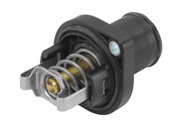Wahler Thermostaat 3463.89D
