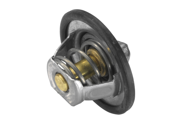 Wahler Thermostaat 3466.89D