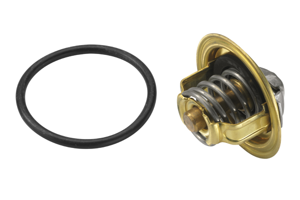 Wahler Thermostaat 3472.87D
