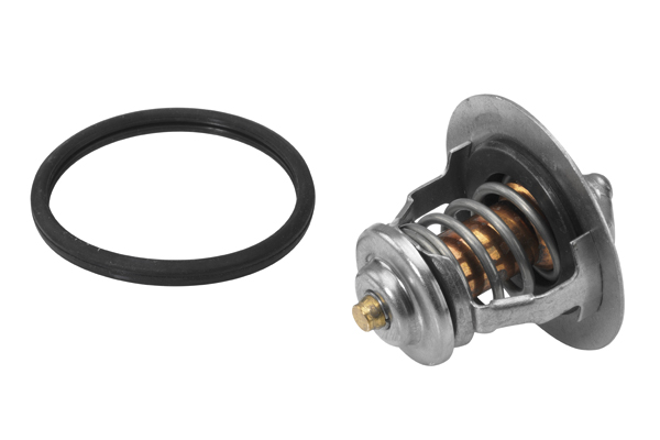 Wahler Thermostaat 410178.82D
