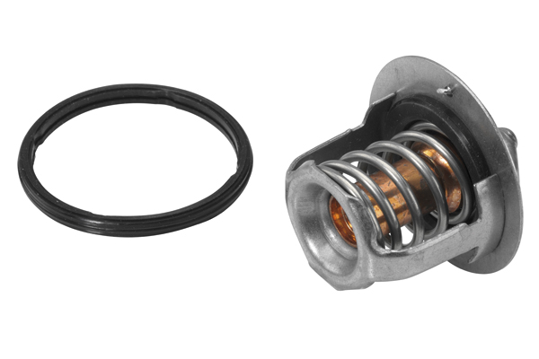 Wahler Thermostaat 410230.78D