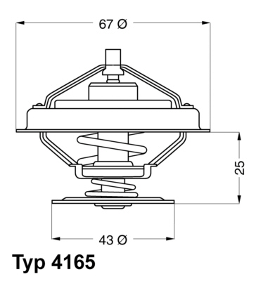 Thermostaat Wahler 4165.79D