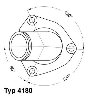 Thermostaat Wahler 4180.82D