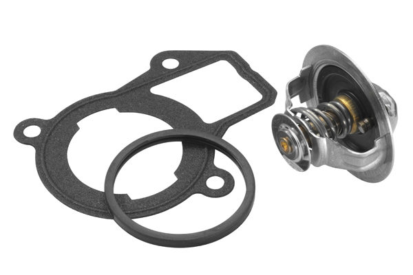 Wahler Thermostaat 4206.90D