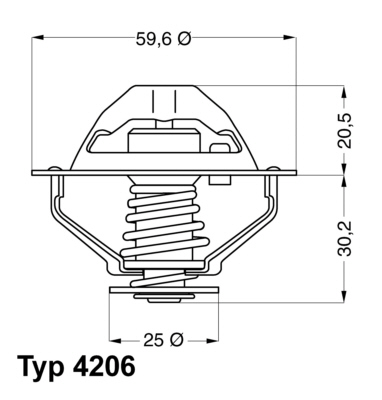 Thermostaat Wahler 4206.90D