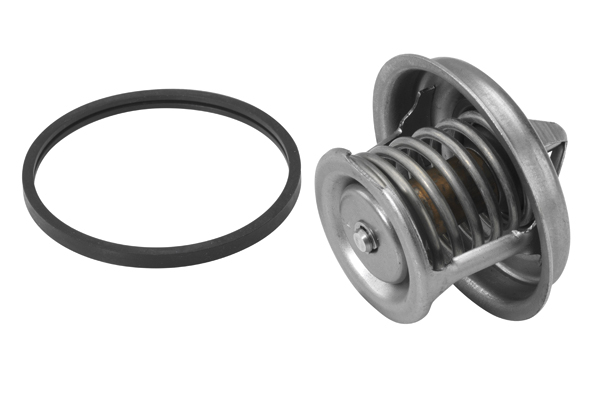 Wahler Thermostaat 4449.84D