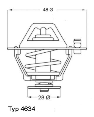 Thermostaat Wahler 4634.76