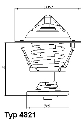 Thermostaat Wahler 4821.89D