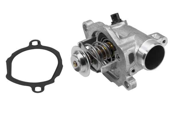 Wahler Thermostaat 4829.100D