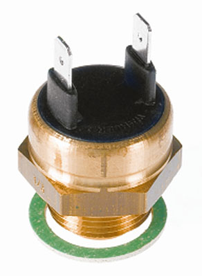 Wahler Temperatuurschakelaar 6010.100D
