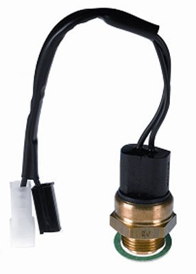 Wahler Temperatuurschakelaar 6016.92