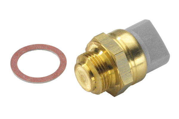 Wahler Temperatuurschakelaar 6017.85D