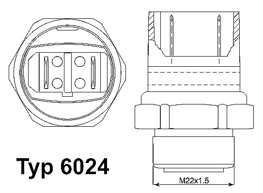 Temperatuurschakelaar Wahler 6024.95D