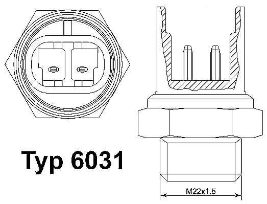 Temperatuurschakelaar Wahler 6031.88D