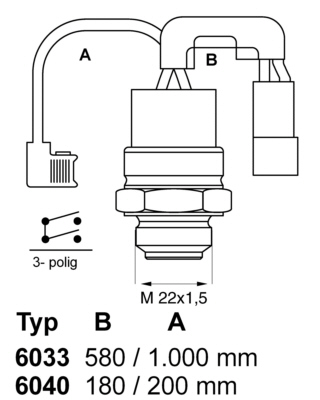 Temperatuurschakelaar Wahler 6040.88