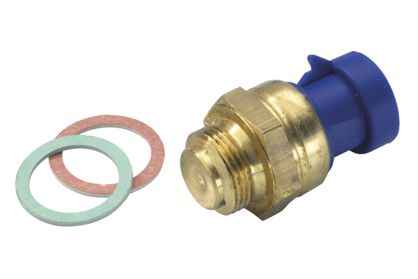 Wahler Temperatuurschakelaar 6035.92D