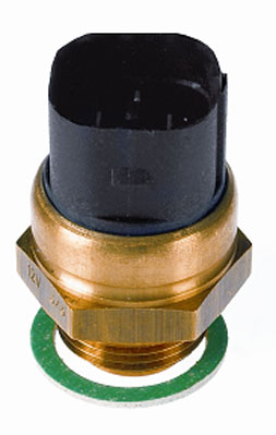 Wahler Temperatuurschakelaar 6037.87D