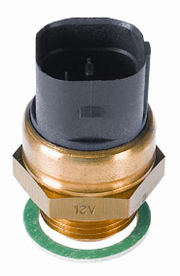 Wahler Temperatuurschakelaar 6039.95D